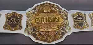 Cinturones de Campeonato Personalizados Trofeos Medallas y Premios El Símbolo Definitivo de Victoria y Excelencia Cinturones de Campeonato - Product Image 4