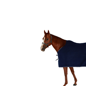 Mantas de Lana para Caballos de Color Azul Marino Más Vendidas, de Poliéster/Algodón, con Forro de Nailon, para Primavera y Otoño, Opciones de Diseño de Logotipo Personalizado - Product Image 2