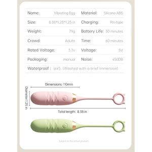Vibrateur - Product Image 6