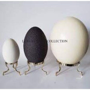 Porte-œufs moderne en métal avec une finition haut de gamme alliant durabilité et design chic, parfait pour les cuisines contemporaines - Product Image 4