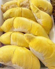 Durian frais du Vietnam: meilleure qualité, meilleur prix - Product Image 2
