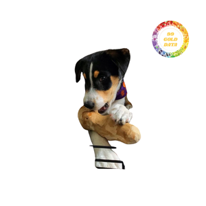 Paquete de Juguetes Masticables para Perros en Madera y Fibra de Coco, Opciones para Masticar, Jalar y Estimulación Física Durante el Juego - Product Image 1