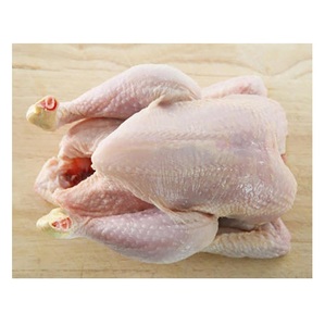 Proveedor Premium Halal congelado pollo entero Halal carne procesada de pollo Halal de Brasil - Product Image 2
