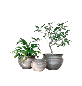 Ensemble de 2 pots et jardinières dorés vintage classiques pour la décoration de la maison - Product Image 3