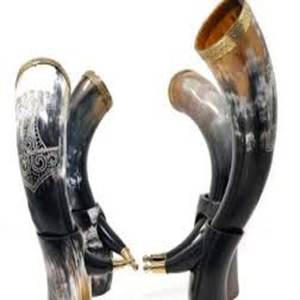 Venta caliente Medieval Juego de 4 piezas Cuerno de buey genuino Shotglasses Vikingo Beber Cuernos Soporte Pulido Cuerno de búfalo Decorativo Alto - Product Image 3