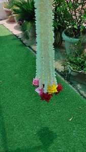 Asmine rtifical, Otus, inferior - Product Image 6