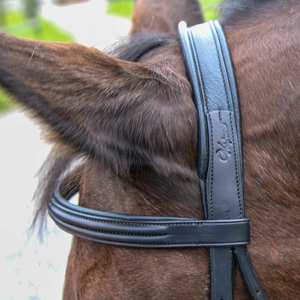 Plain Raised <b>Dressage</b> Bridle - Product Image 2