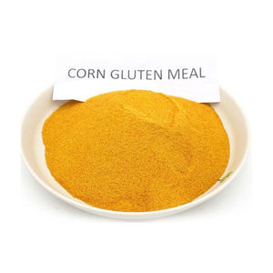 REPAS DE GLUTEN DE MAÏS DE HAUTE QUALITÉ DU BRÉSIL À N'IMPORTE QUEL PORT DE VOTRE CHOIX - Product Image 4