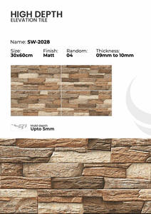 Carreaux de mur extérieurs en porcelaine 300x600mm Résistants aux intempéries - Product Image 5