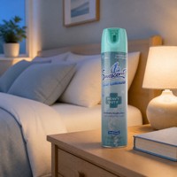 Désodorisant et neutralisant d'odeurs pour la maison, spray désodorisant pour les toilettes, éliminateur d'odeurs, désodorisant en aérosol