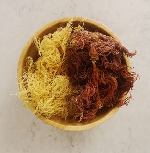 [SUPLEMENTO DE SALUD CALIENTE] ALGODÓN DE ALGAS SEAMOSS IRLANDÉS ORO Y PÚRPURA SECA/ALGODÓN SECO EUCHEUMA CON PRECIO BAJO BARATO - Product Image 6