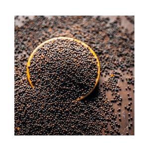 Graines de moutarde jaunes de haute qualité pour la cuisine, graines de moutarde fiables en vrac - Product Image 5