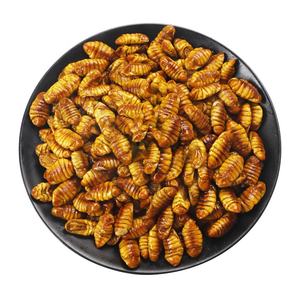 ผงไหมคุณภาพสูง โปรตีนสูง อาหารแมลงธรรมชาติสำหรับสุนัขและปศุสัตว์ เกรดอาหารสัตว์ บรรจุถุง 25 กก. สำหรับงานฝีมือ DIY - Product Image 2