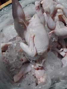 เท้าไก่แช่แข็งแช่แข็งทั้งตัวไก่แช่แข็ง - Product Image 2