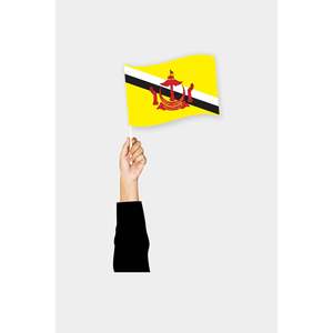 Custom 3x5ft Brunei <b>Pocket</b> Flag Digital Printing Cotton <b>Plastic</b> Silk Display Automotive Insurance Education Industries - Product Image 1