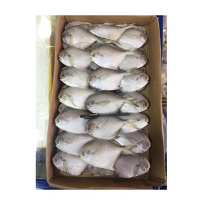 Fournisseur en gros de poissons pomfret argentés surgelés IQF - Product Image 5