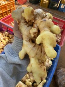 Jengibre fresco de calidad premium, embalaje de 100 gramos, cantidad a granel, jengibre limpio, origen Vietnam, listo para enviar - Product Image 3