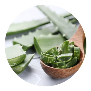 Venta al por mayor de gelatina de Aloe Vera fresca/Aloe Vera cortado en cubitos hecho en Vietnam a precio competitivo - Product Image 3