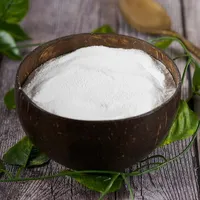 Premium Gedroogd Kokoswaterpoeder 25 KG Bulkverpakking Voedingsmiddelenkwaliteit 100% Natuurlijk voor Kookdoeleinden tegen Groothandelsprijs