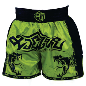 Short thaïlandais personnalisé Kickboxing Muaythai Short coupe moyenne Short de boxe Bjj Short de combat - Product Image 1