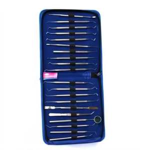 Instruments dentaires personnalisés de haute qualité Outils chirurgicaux Kit de soins d'hygiène buccale Ensemble de 10 pièces - Product Image 2