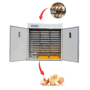 Giá tốt nhất HJ-I18 tự động gà trứng lồng ấp <span class=keywords><strong>5280PCs</strong></span> 1 năm bảo hành nở chim cút vịt đà điểu trứng mới cho gà tây - Product Image 3