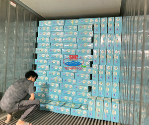 ผลิตภัณฑ์ผลไม้รสเปรี้ยวมะพร้าวสดจากเวียดนาม - Product Image 1