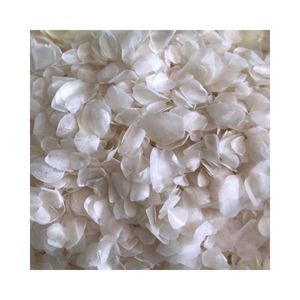 Natura เครื่องชั่งปลาแห้งเครื่องสกัดคอลลาเจนเกล็ดปลาแบบแห้ง - Product Image 5