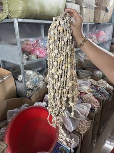 Coquille de mer de cauri lâche d'artisanat naturel de coquillage de couleur blanche polie élevée pour le bricolage - Product Image 6