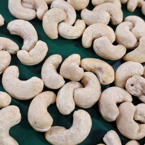 Anacardos a precio razonable WW450 SANTIGO Noix De Cajou Kaju W450 anacardos exportados a Oriente Medio - Product Image 1