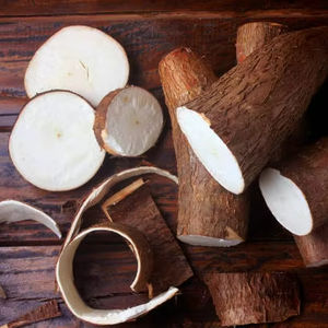 Harina de Tapioca (Almidón de Yuca) de Primera Calidad, Almidón de Maíz Nativo y Modificado en Polvo, Empaquetado en Bolsas para Uso en la Industria Alimentaria - Product Image 3