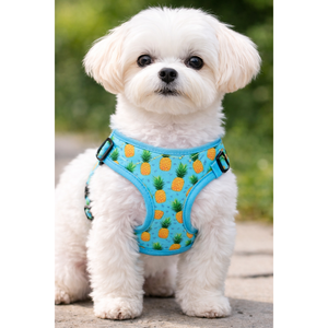 Arnés Ajustable para Perro con Diseño de Dibujos Animados, Chaleco Ligero Acolchado para Mascotas con Malla Transpirable - Product Image 5