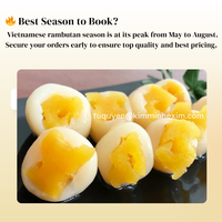 Ramboutan en conserve de qualité export du Vietnam, 10 kg, fourré aux ananas frais, prêt à consommer