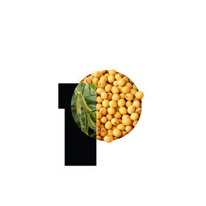Soja OGM para compradores internacionales de productos básicos y plantas de procesamiento agrícola - Product Image 1