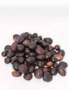 Noix de palme de bonne qualité Noix de coquille de palmiste à bas prix - Product Image 3