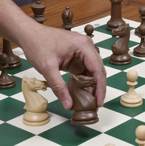 Pièces d'échecs en plastique teintes de la série Blitz de haute qualité, en bois de santal et brun chocolat, ensemble à prix abordable - Product Image 3