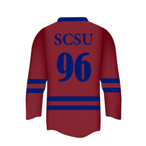 Maillot de hockey sur glace personnalisable avec nom d'équipe - 100% polyester anti-UV et séchage rapide, unisexe, adulte - Product Image 2