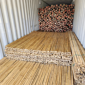 High Quality Vietnam Bamboo Poles - Reliable <b>Wholesale</b> <b>Supplier</b> of Raw Natural Cane Sticks for Global Buyers - FBP1013 - Product Image 6