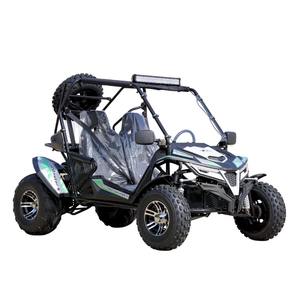 Véhicule tout-terrain (UTV) / Go-Kart / Side-by-Side Cheetah 200EX EFI en aluminium, modèle original TrailS/MasterS, moderne, pour tout-terrain, en promotion - Product Image 2