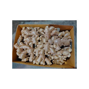 Gingembre congelé biologique pelé et tranché/haché à un prix pour un usage culinaire - Product Image 3