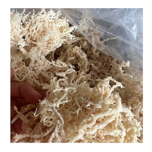 Mousse de mer artisanale sauvage dorée/vente en gros de mousse de mer crue/algues Eucheuma Cottonii bon prix de haute qualité du Vietnam - Product Image 2