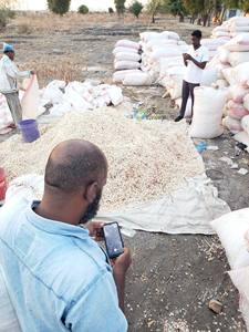 Aceite en polvo de semillas de baobab potenciado por la agricultura orgánica Rikaz Premium y productos agrícolas crudos de frutas enteras - Product Image 2