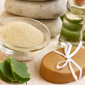 Poudre d'extrait d'aloe vera en gros feuille d'aloe vera en poudre naturelle produite et fournie par l'usine du Vietnam - Product Image 6