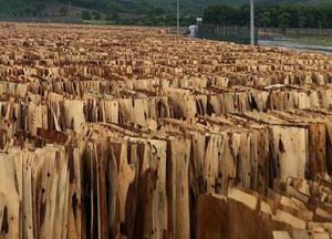 Los materiales de producción de muebles de gran calidad provienen de Vietnam - Product Image 2