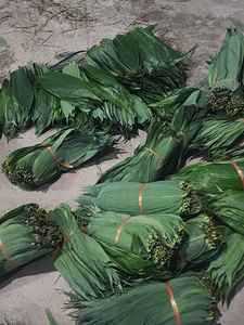 HOJAS DE BAMBÚ SECAS NATURALES VIETNAM DECORACIÓN DE ROLLO DE ENVOLTURA DE Aperitivos DE ALTA CALIDAD DE LOTO AZUL MS AMELIA + 84855014447 - Product Image 3