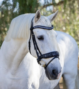 Marine Floral Snaffle Bridle Vente chaude Portable Disponible 100% Prix compétitif Équitation de l'exportateur indien - Product Image 5
