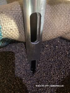 พริกไทยดำแห้งคุณภาพสูง 100% จากธรรมชาติ ขนาดใหญ่ 500 กรัม ขายดี |   คุณลินน์ +84869981238 - Product Image 3