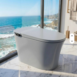 WC mural gris avec douchette hygiénique postérieure entièrement réglable, pression d'eau personnalisable, certifié US CUPC ETL WaterMark - Product Image 1