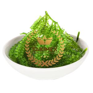 Laver tostado (UVA marina) de la mejor calidad, algas secas Umibudo, embalaje OEM en bolsas, uva marina salada de Vietnam - Product Image 1