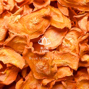 Tranches de carottes séchées naturellement sucrées riches en fibres de bêta-carotène et en vitamines, parfaites pour une cuisine saine et des collations végétales - Product Image 2